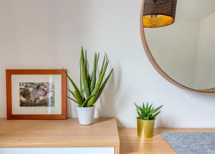 L Beau D Hier L'Epine (Vendee)